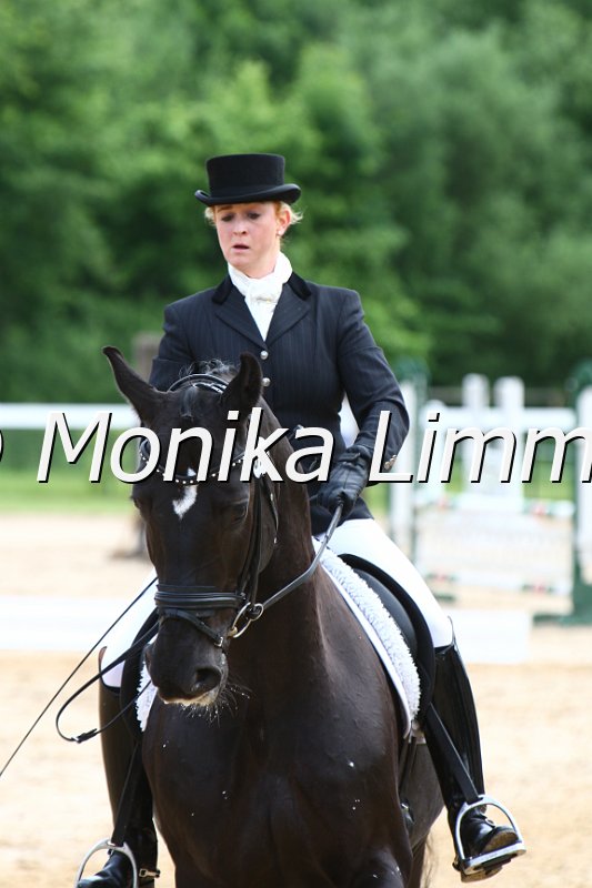 006M4556_Dressur L.JPG